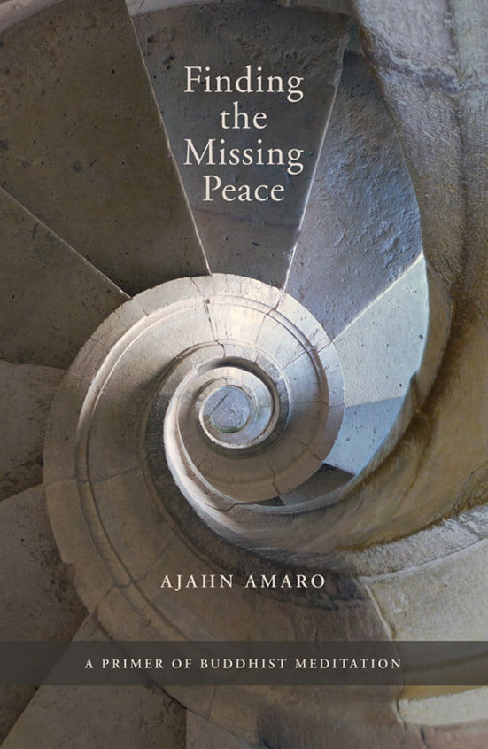 Cover image for Finding The Missing Peace