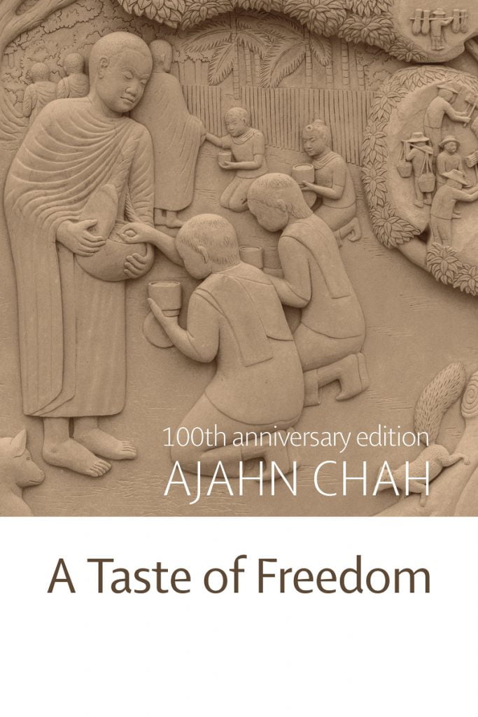 Cover image for A Taste of Freedom