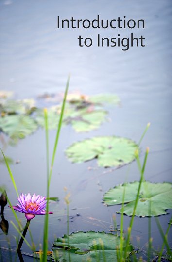 Cover image for Introduction to Insight Meditation