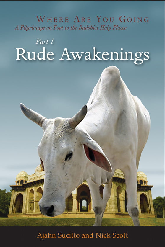 Cover image for Rude Awakenings