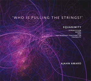 Cover image for Who is Pulling the Strings?
