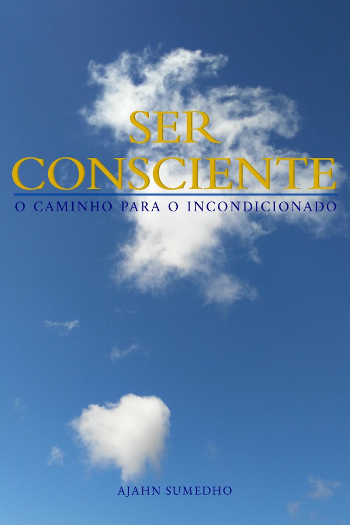 Cover image for Ser Consciente