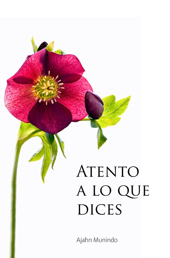 Cover image for Atento a lo que dices