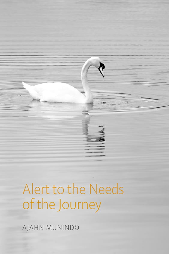 Cover image for Alert to the Needs of the Journey