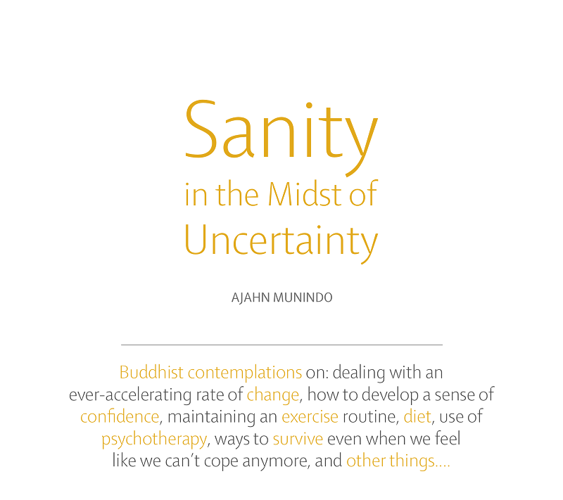 Cover image for Sanity in the Midst of Uncertainty