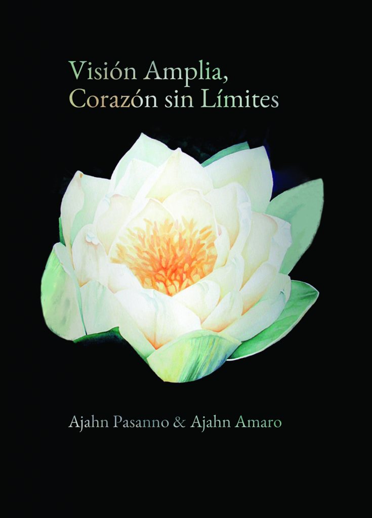 Cover image for Visión Amplia, Corazón sin Límites