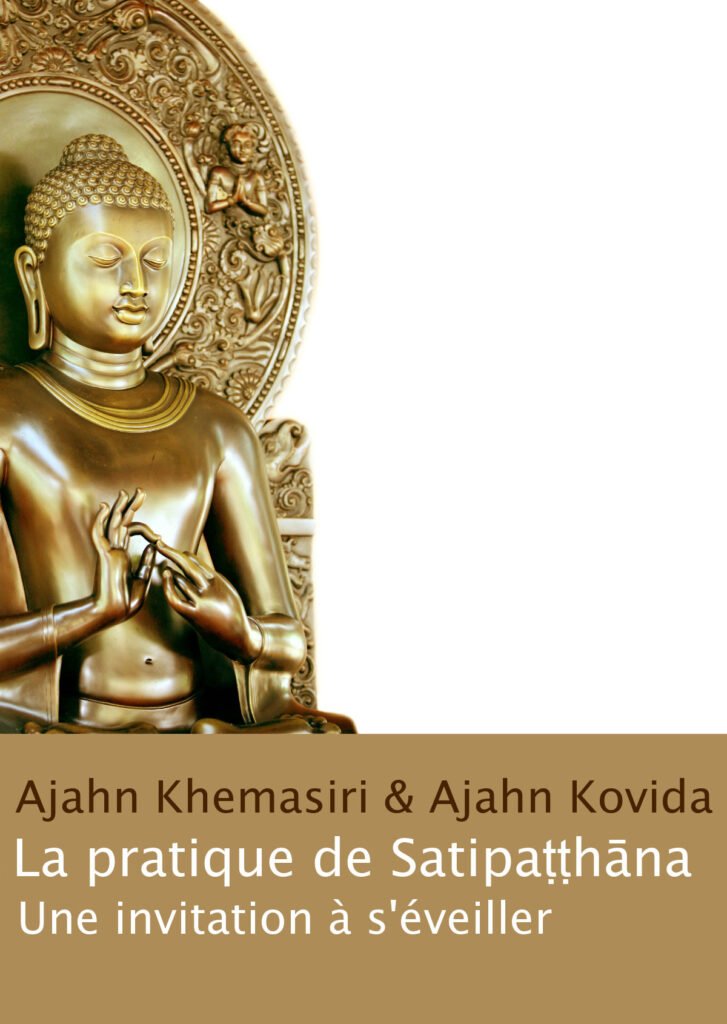 Cover image for La pratique de Satipaṭṭhāna – Une invitation à s’éveiller