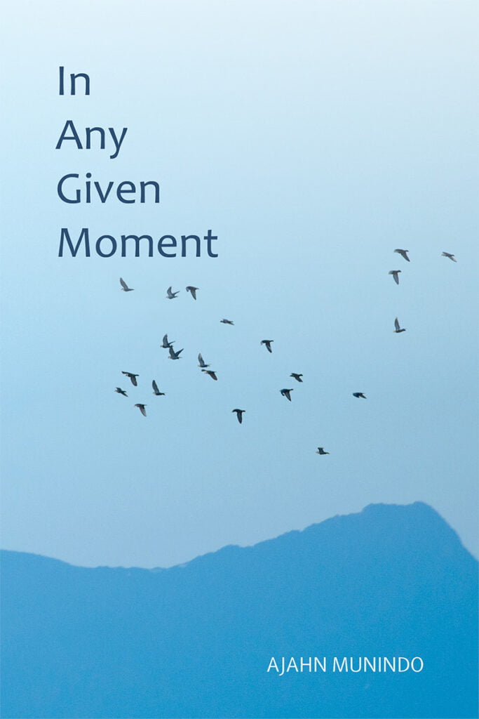 Cover image for In Any  Given Moment