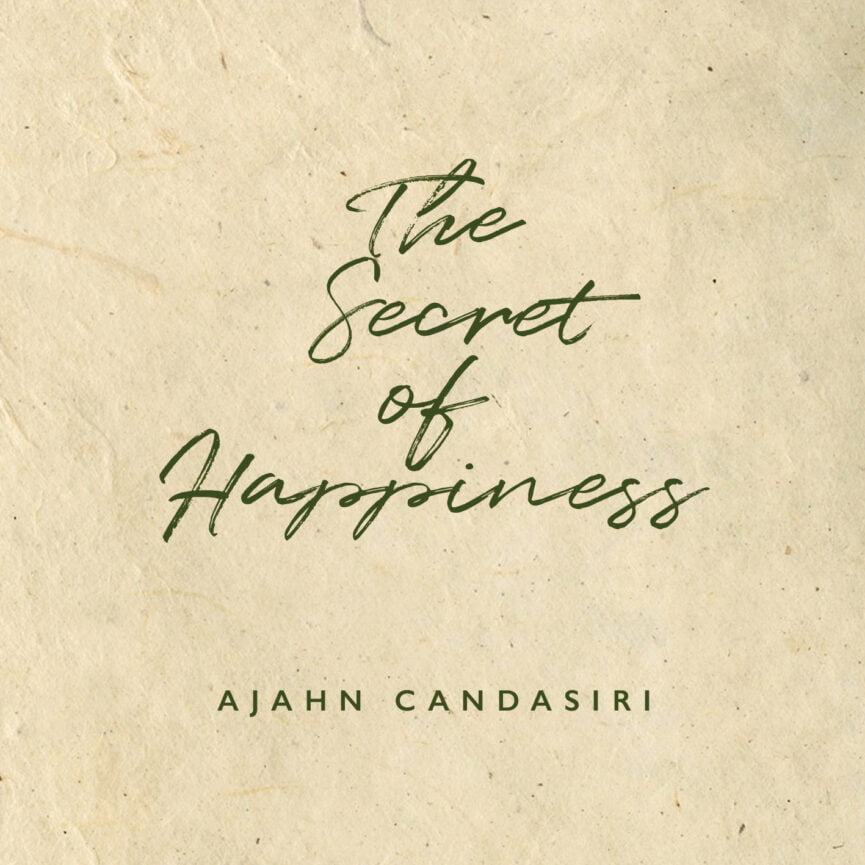 Cover image for The Secret of Happiness