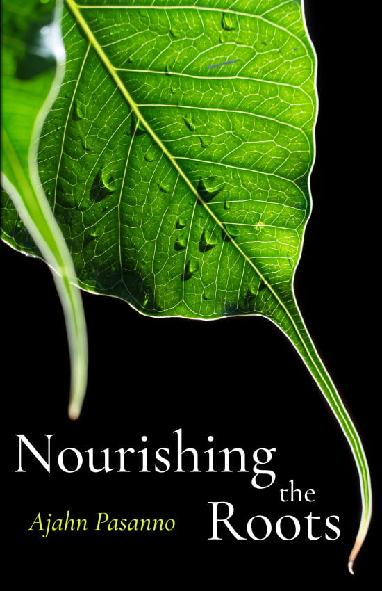 Cover image for Nourishing the Roots