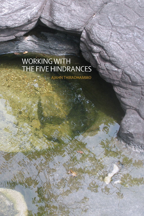 Cover image for Working with the Five Hindrances