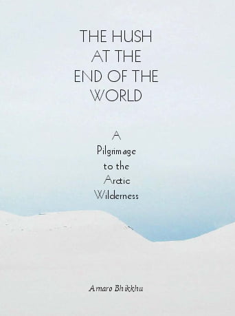 Cover image for The Hush At The End Of The World