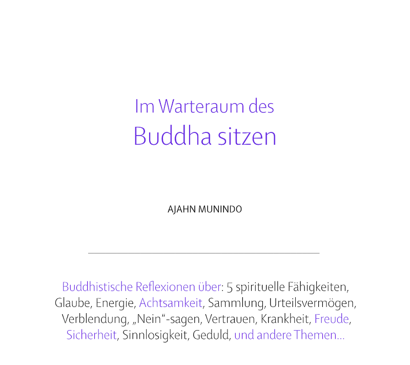 Cover image for Im Warteraum des Buddha sitzen