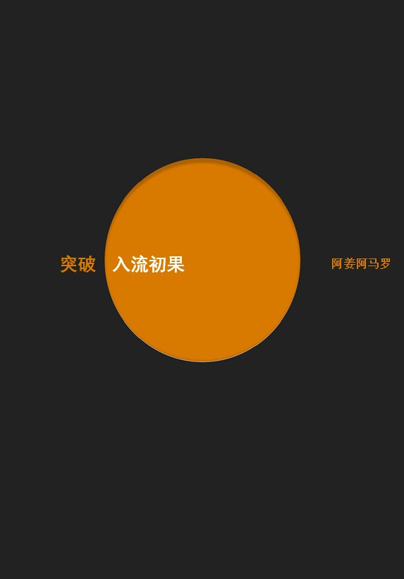Cover image for 突破入流初果
