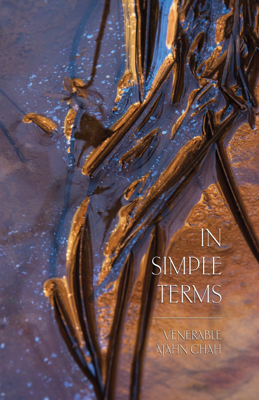 Cover image for In Simple Terms: 108 Dhamma Similes