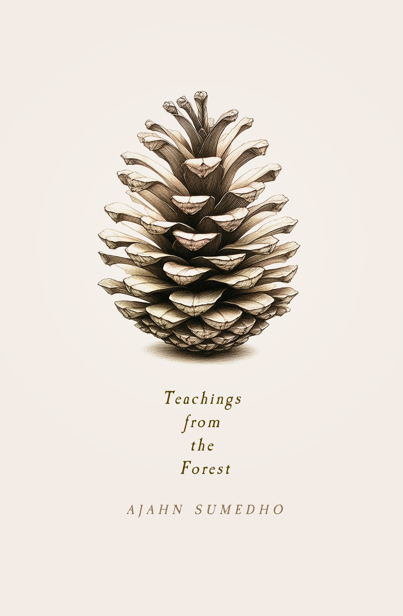 Cover for Teachings from the Forest