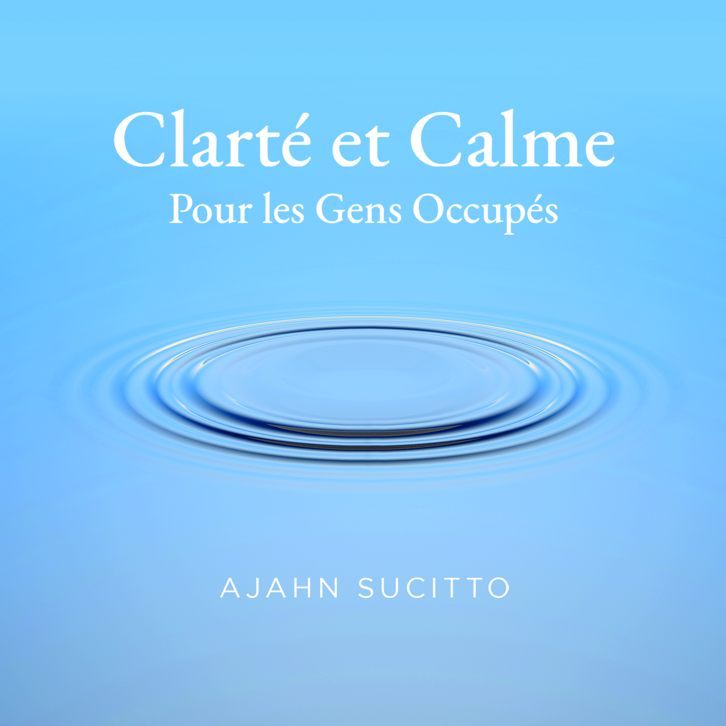 Cover image for Clarté et Calme Pour les Gens Occupés