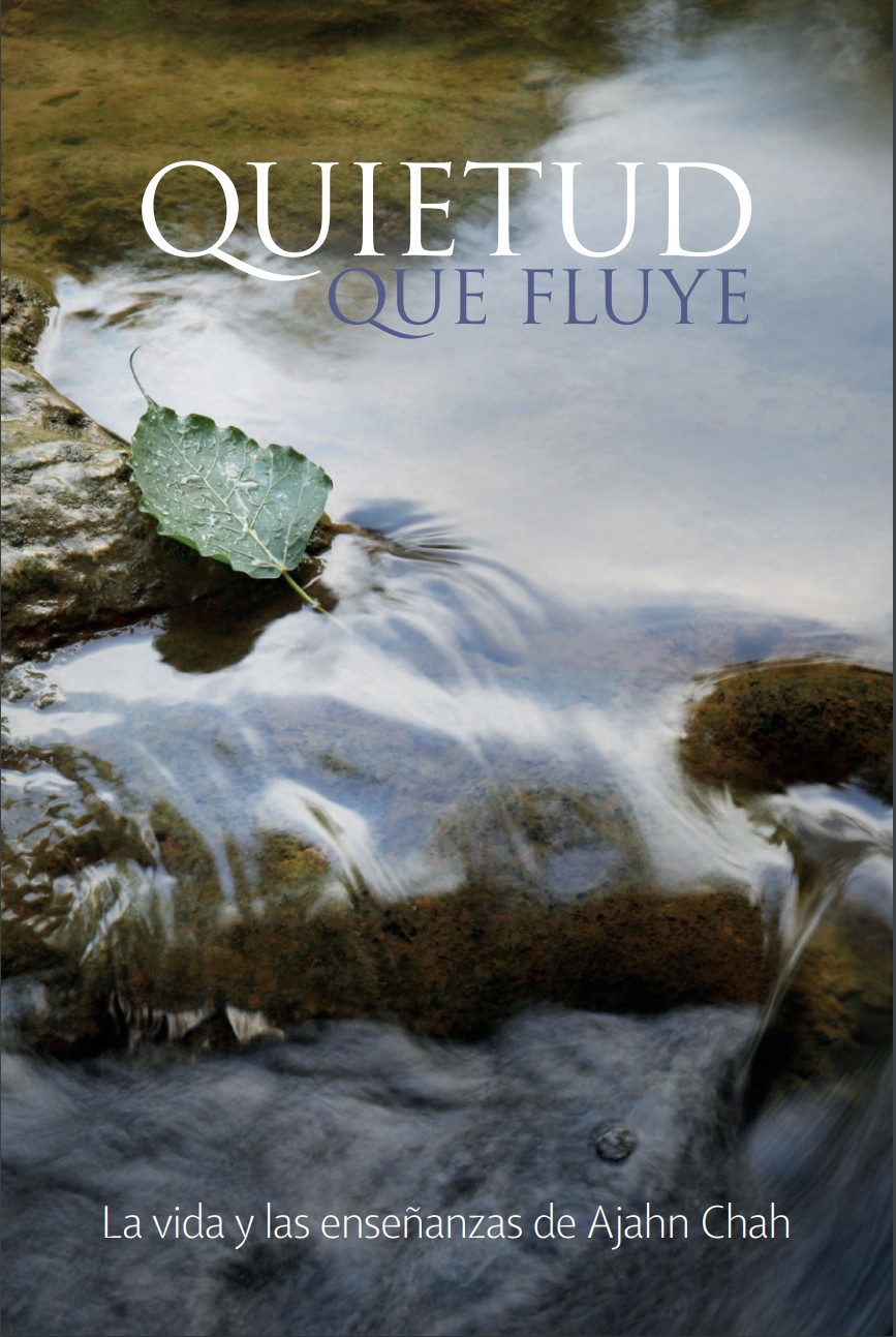 Cover image for Quietud que fluye