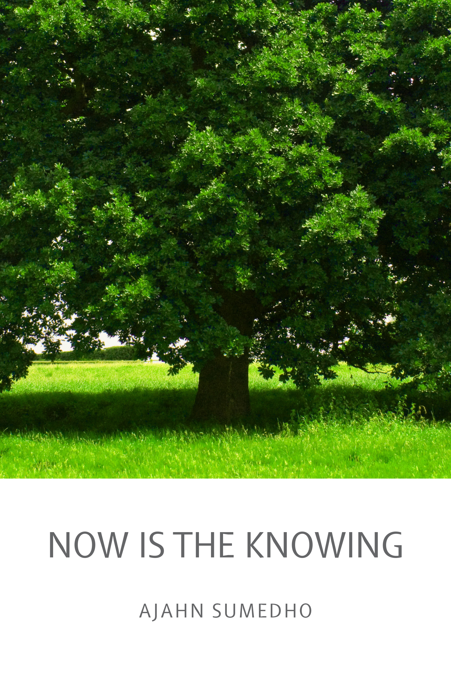 Cover image for Now is the Knowing