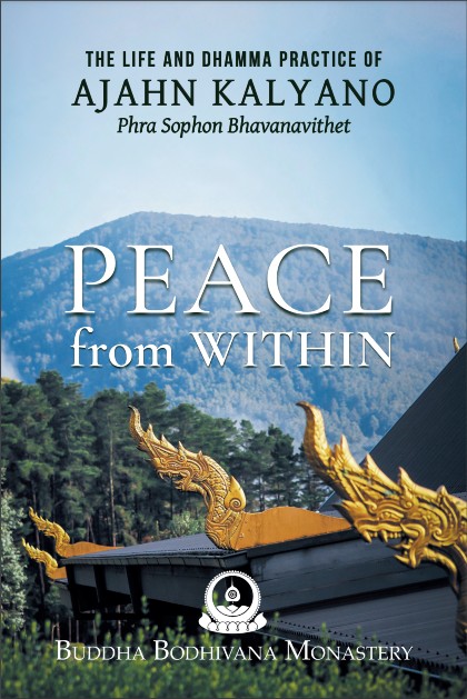 Cover image for Peace From Within