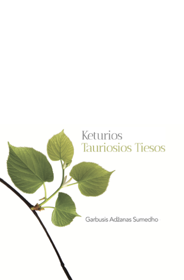 Cover image for Keturios tauriosios tiesos