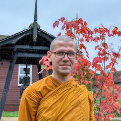 Bhikkhu Medhāvī