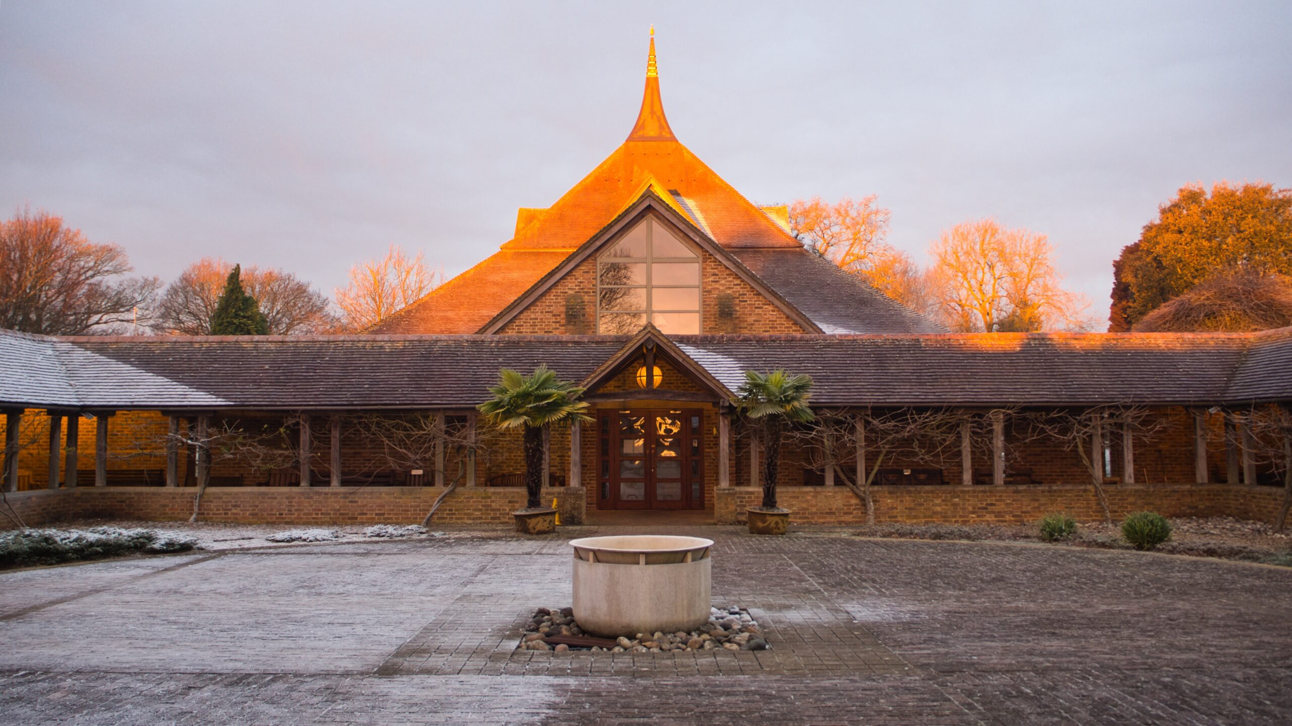 2025.01 The Temple in January