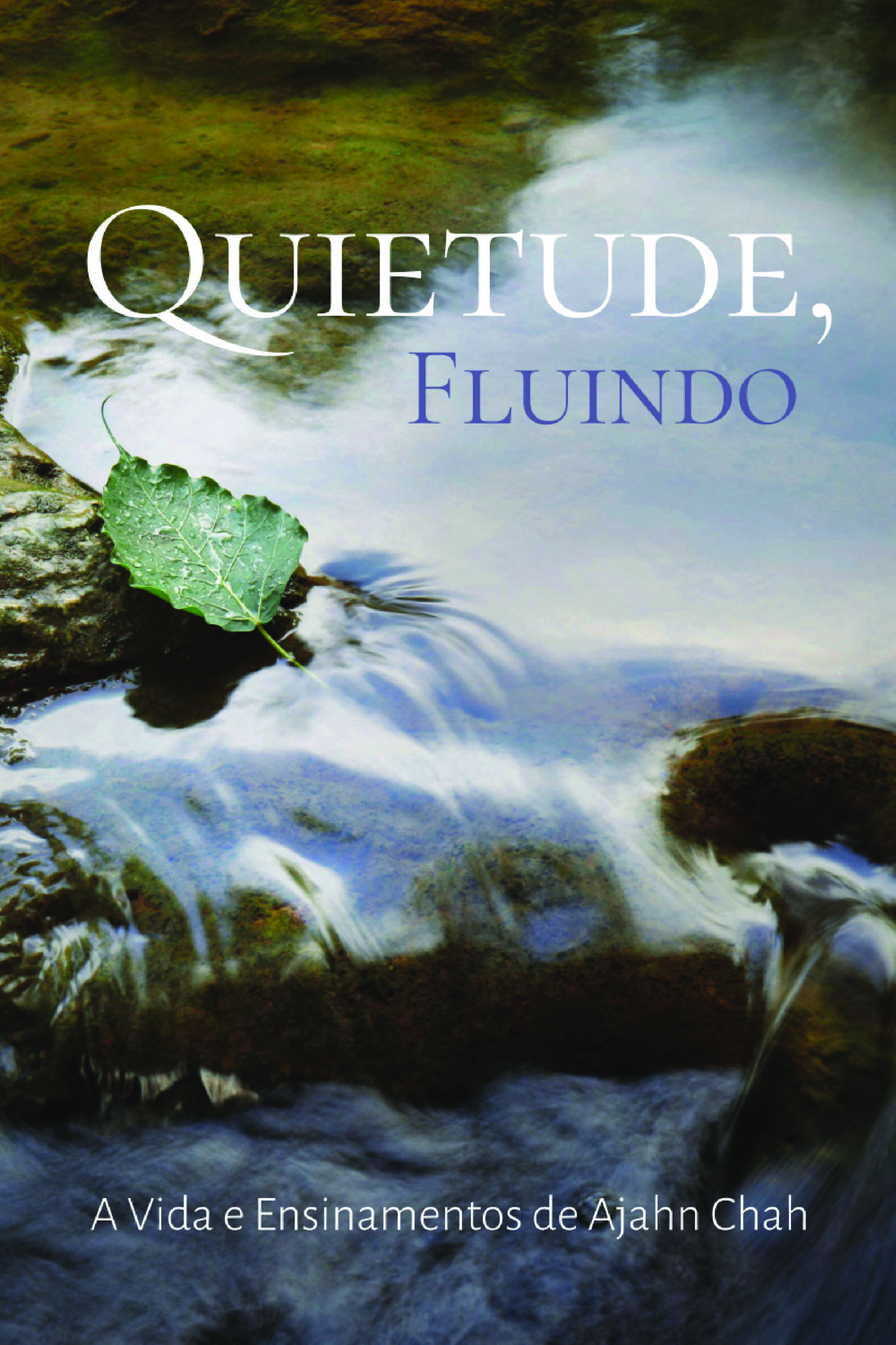 Cover for Quietude, Fluindo
